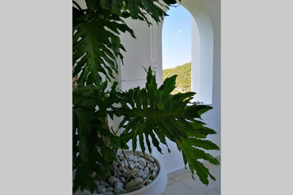 Village View Nea Epidavros Dış mekan fotoğraf